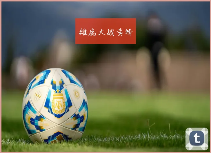 雄鹿大战黄蜂