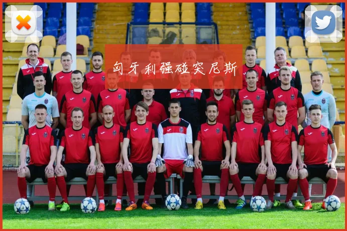匈牙利强碰突尼斯