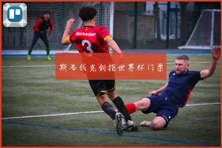 斯洛伐克剑指世界杯门票