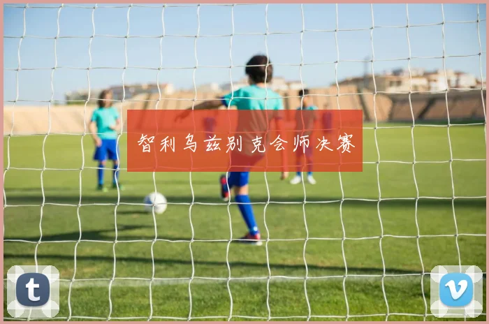智利乌兹别克会师决赛