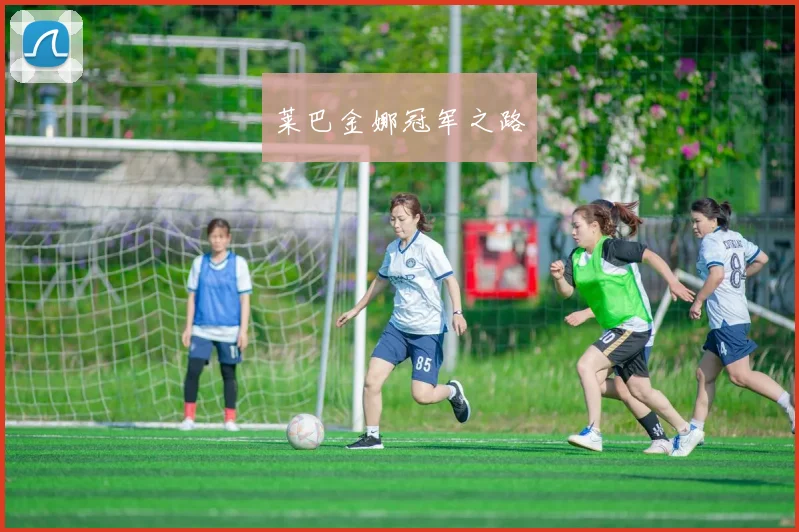 莱巴金娜冠军之路