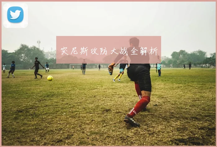 突尼斯攻防大战全解析