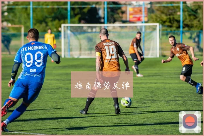 越南强势反弹